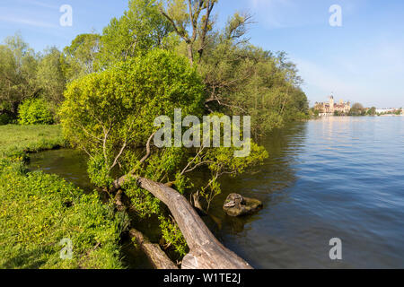 Das Schweriner Schloss, vom View Point Adebars Näs, innere See, Provinzhauptstadt, Mecklenburger Seen, Schwerin, Mecklenburg-Vorpommern, Deutschland, E Stockfoto