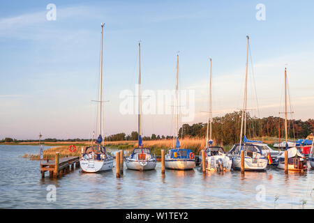 Boote im Hafen in Ostseebad Dierhagen, Fischland-Darß-Zingst, Ostsee, Mecklenburg-Vorpommern, Norddeutschland, Deutsche Stockfoto