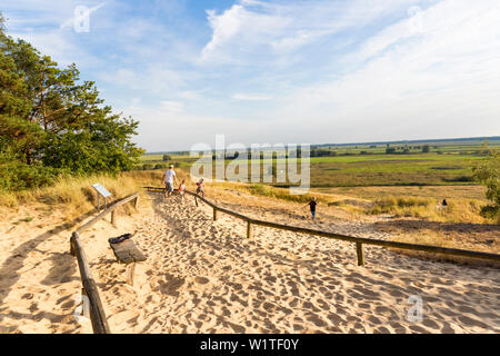 Dünen im Tal der Elbe, in der Nähe von Klein Schmölen, Mecklenburgische Seenplatte, Dömitz, Elbe, Mecklenburg-Vorpommern, Deutschland, Europa Stockfoto