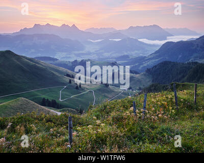 Blick vom Kitzbüheler Horn Richtung Fieberbrunn, Leoganger Steinbergen, Tirol, Österreich Stockfoto