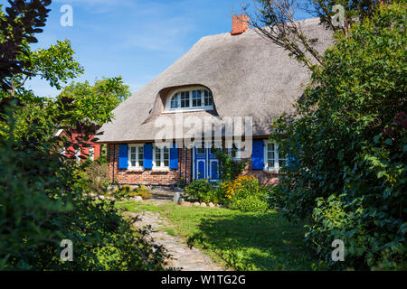 "Thatched House, Middelhagen, Insel Rügen, Mecklenburg-Vorpommern, Ostsee, Deutschland, Europa" Stockfoto