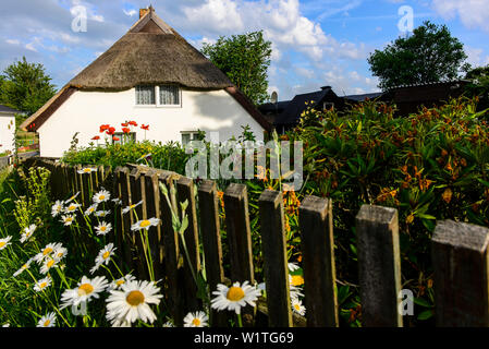 Haus mit Blumengarten in Hagen, Rügen, Ostseeküste, Mecklenburg-Vorpommern, Deutschland Stockfoto