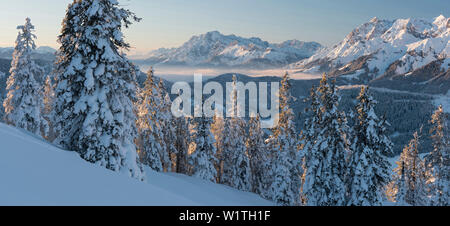 Blick Vom Kollmannsegg bewegende Steinernes Meer, Leoganger Steinberge, Pinzgau, Salzburg, Österreich Stockfoto