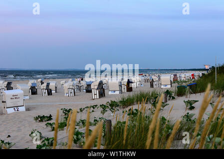 Liegestühle mit Strandhafer im Abendlicht, Ahlbeck, Usedom, Ostseeküste, Mecklenburg-Vorpommern, Deutschland Stockfoto