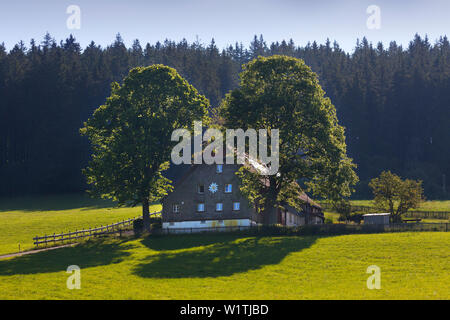 Bauernhaus in der Nähe von Breitnau, Schwarzwald, Baden-Württemberg, Deutschland Stockfoto