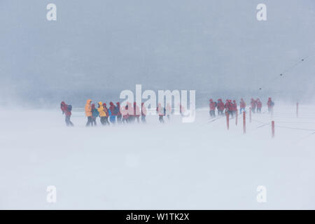 Passagiere, die von einem Besuch Expedition Cruise Ship tapfer Blizzard der Argentinischen Base Forschung Orcadas Station zu sehen, Laurie Island, South Orkney ICH Stockfoto