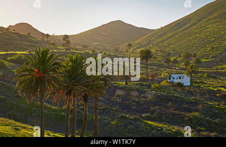 Bauernhaus in Haria, Lanzarote, Kanarische Inseln, Islas Canarias, Spanien, Europa Stockfoto