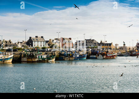 Boote im Hafen, Loctudy, Finistère, Bretagne, Frankreich Stockfoto