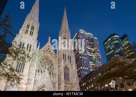 Str. Patricks Kathedrale, 5th Avenue, Manhattan, New York City, New York, USA Stockfoto