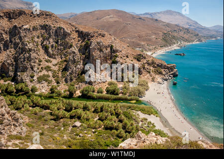 Palmen gesäumten Fluss, Canyon, Preveli, Kreta, Griechenland, Europa Stockfoto