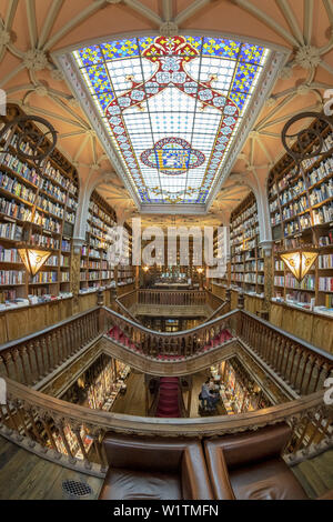 Berühmte Buchhandlung Lello, Interieur, Decke, Porto Portugal Stockfoto
