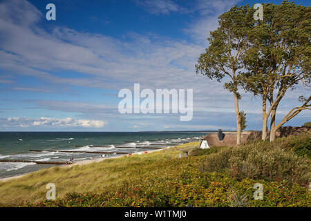 Ost seeküste in Ahrenshoop, Halbinsel Fischland-Darß-Zingst, Mecklenburg-Vorpommern, Deutschland Stockfoto