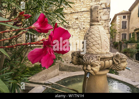 Die Fontaine des Brunnen Mascarons, Stein Brunnen im historischen Dorf Séguret, 15. Jahrhundert, Vaucluse, Provence, Frankreich Stockfoto