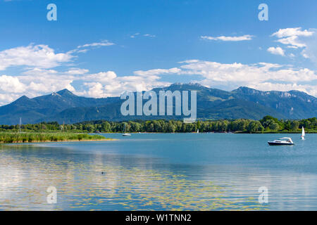 Boote auf dem Sommer am Chiemsee, im Vordergrund Seerosen und Schilf, die Chiemgauer Berge im Hintergrund Stockfoto