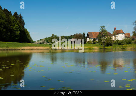 Schleinsee, in der Nähe von Kressbronn, Bodensee, Baden-Württemberg, Deutschland Stockfoto