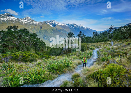 Frau Wandern auf Routeburn Track mit südlichen Alpen im Hintergrund, Routeburn Track, tolle Wanderungen, Fiordland Nationalpark, UNESCO Welterbe Te Wahipounam Stockfoto