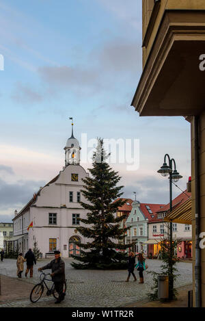 Weihnachtsbaum auf dem Marktplatz, Wolgast, Ostseekueste, Mecklenburg-Vorpommern, Deutschland Stockfoto