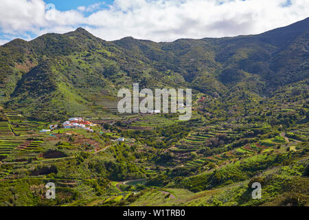 Blick über üppige Vegetation in Las Portelas, Teno Gebirge, Teneriffa, Kanarische Inseln, Islas Canarias, Atlantik, Spanien, Europa Stockfoto