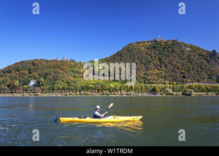 Kajak auf dem Rhein vor Schloss Drachenburg am Drachenfels, aus Bonn Mehlem, Mittelrheintal, Nordrhein-Westfalen, Deutschland, Eu Stockfoto