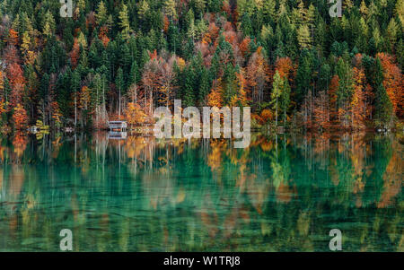 Kleine Hütte an einem See im Herbst, Reflexion von bunten Bäume in dem kristallklaren Wasser, See Hinterstein, Scheffau, Tirol, Österreich Stockfoto
