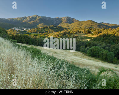 Aullène, Corse, Korsika, Frankreich Stockfoto