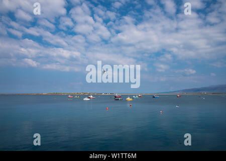 Bucht von Fahamore mit kleinen bunten Fischerbooten und Aussicht auf die Dingle Halbinsel von beim Gehen die Dingle Way, Hafen, Fahamore Candeehy gesehen Stockfoto