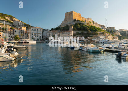 Den Hafen und die Zitadelle von Bonifacio, Departement Corse du Sud, Korsika, Frankreich Stockfoto