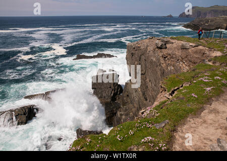 Eine Frau steht auf Felsen und mit Blick auf den Atlantischen Ozean als Spray von Wellen tobt, von beim Gehen die Dingle Way, Dingle Halbinsel, Graf gesehen Stockfoto