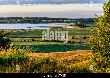 Blick von der Bakenberg, mönchgut, Rügen, Ostseeküste, Mecklenburg-Vorpommern, Deutschland Stockfoto