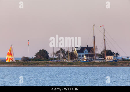 Insel Lotseninsel von der Schlei, in der Nähe von Maasholm, Ostsee, Schleswig-Holstein, Norddeutschland, Deutschland, Europa Stockfoto