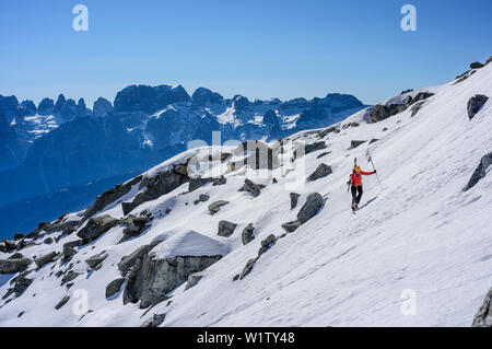 Frau backcountry Skiing aufsteigend in Richtung Cima Presanella und Adamello, Presanella Gruppe, Trentino, Italien Stockfoto