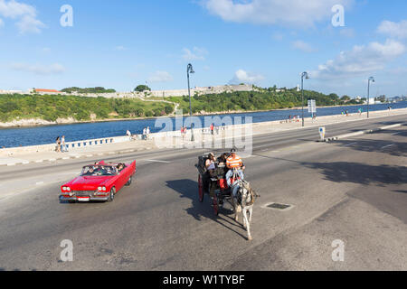 Rote Oldtimer cabriolet Malecon entlang fahren, im Hintergrund El Canonazo, historische Altstadt, Zentrum, Altstadt, Habana Vieja, Habana Centro, Familie trave Stockfoto