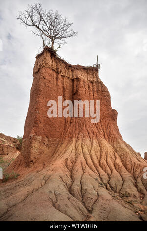 Surreale Landschaft bei Tatacoa Wüste (Desierto de la Tatacoa), Gemeinde Villavieja in der Nähe Neiva, Departmento Huila, Kolumbien, Südamerika Stockfoto