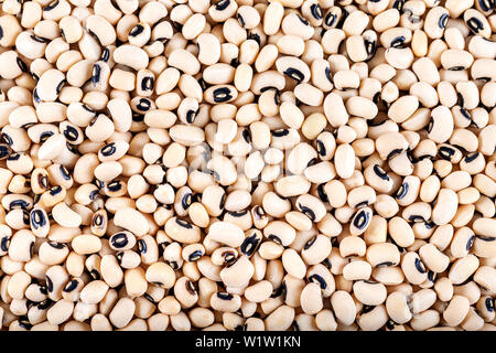 Weiße Bohnen, Hintergrund Stockfoto