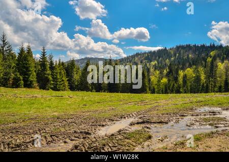 Schöner Frühling Berglandschaft. Grüne Wiesen und Wälder auf den Hügeln. Stockfoto