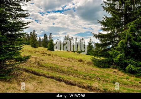 Schöner Frühling Berglandschaft. Grüne Wiesen und Wälder auf den Hügeln. Stockfoto