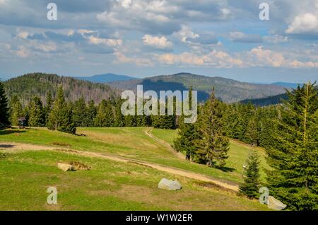 Schöner Frühling Berglandschaft. Grüne Clearing auf einem Berg Trail. Stockfoto