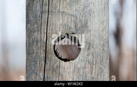 Holz- Post mit großem Loch durch. Stockfoto
