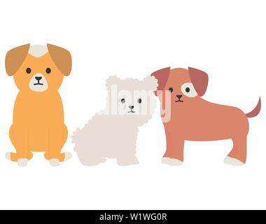 Kleine Hunde adorables Maskottchen zeichen Vector Illustration Design Stock Vektor