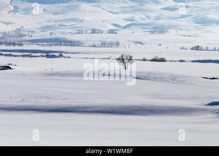 Verschneite Landschaft vom Fenster Stockfoto