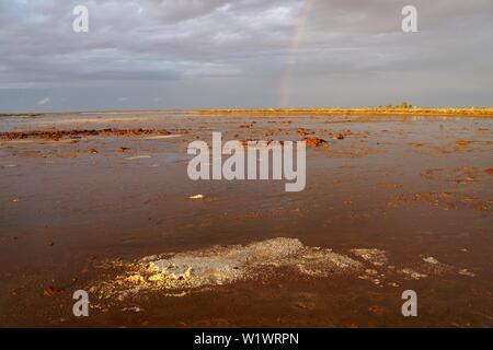 Am späten Nachmittag Sonne erhellt Eine kleine Anzahlung von Salz auf See Tyrrell Stockfoto