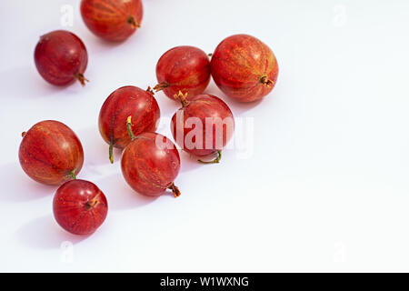 Stachelbeeren auf weißem Hintergrund Stockfoto