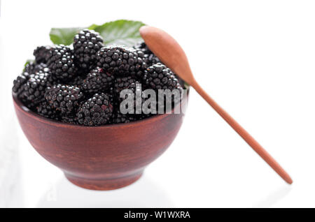 Blackberry in einem Ton. Weißer Hintergrund. Frische Beeren. Stockfoto