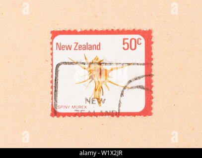 Neuseeland - ca. 1980: einen Stempel in Neuseeland gedruckt zeigt eine stachelige Murex, ca. 1980 Stockfoto