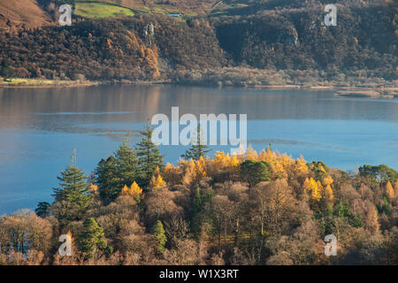 Atemberaubende am späten Nachmittag Herbst Landschaft Bild der Blick von catbells in der Nähe von Derwent Water im Lake District in Richtung Blencathra und Skiddaw p Stockfoto