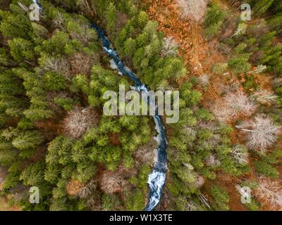 Wasserfall Obernachkanal, Mischwald mit Mountain River im Herbst von oben, Drone, Bird's Eye View, Oberbayern, Bayern, Deutschland Stockfoto