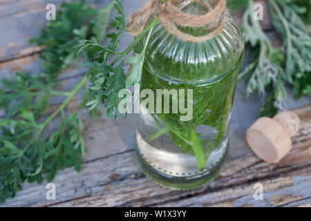 Wermutschnaps, Wermut-Schnaps, Wermut-Kräuterschnaps, Wermutwein, Wermut-Wein, Wermuttinktur, Wermut-Tinktur, Schnaps aus Wermut, Kräuterschnaps, Heil Stockfoto