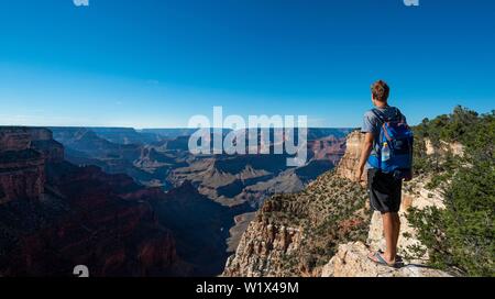 Junger Mann mit Blick in die Ferne, Canyon Landschaft, erodierten Felsformationen, Grand Canyon, der Einsiedler Trail, South Rim, Grand Canyon National Park, ein Stockfoto