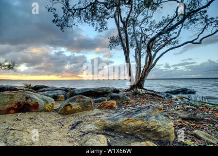 Lake Cootharaba Landschaft bei Sonnenaufgang, in der Nähe der Noosa Everglade, in Queensland, Australien Stockfoto