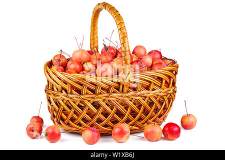 Weidenkorb mit Krabben Äpfel auf weißem Hintergrund Stockfoto